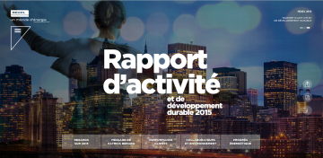 Rexel Annual Report 2015